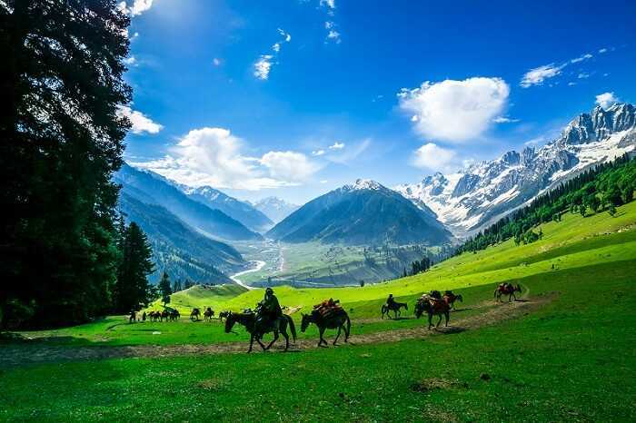 Sonmarg green valley horse ride Kashmir view
